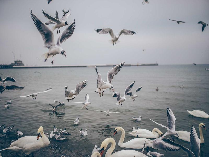 sudoku relaxation mode screenshot 3